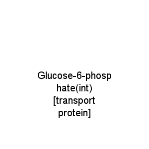 Glucose-6-phosphate(int) [transport protein]